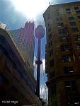 La Tour de Sydney -305m, photographie