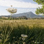 Plaine de la garde, ch&acirc;teau