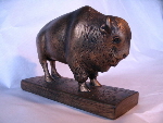 Bison